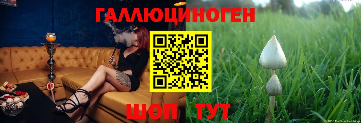 Галлюциногенные грибы GOLDEN TEACHER Урюпинск